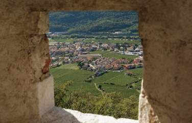 P1012050a1.jpg